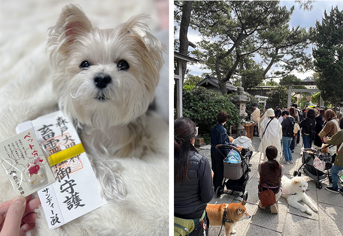 畜霊社例祭